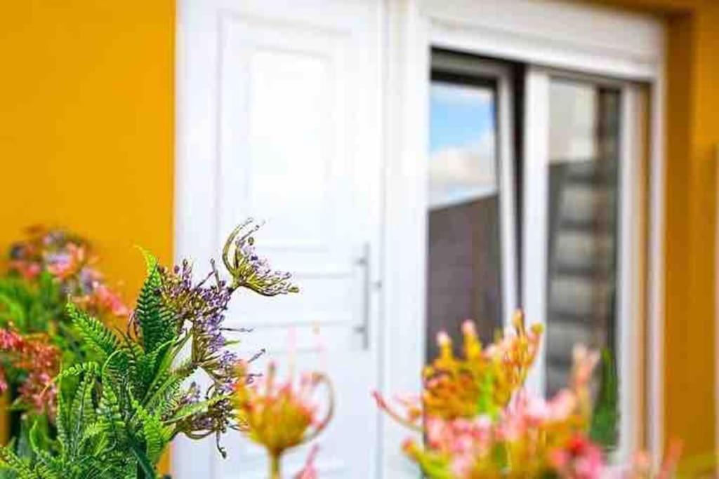 Waters House Studio Peniche Ngoại thất bức ảnh